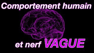 Le NERF VAGUE: nouvelle vision de notre physiologie