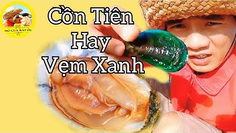 videos đi bắt hải sản #409 bắt Cồn Tiên hay Vẹm xanh ở biển Vũng Tàu.