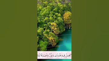 سورة المائدة أرکان سلمان   #أرکان_سلمان#آل_عمران