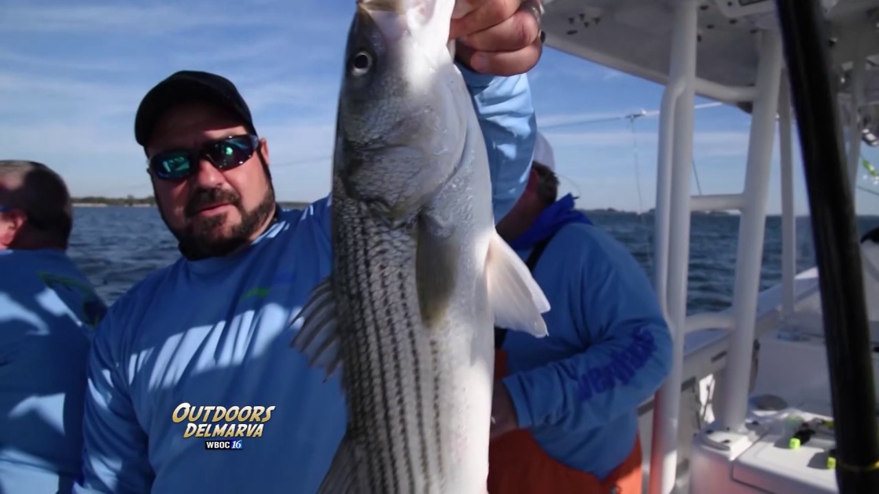 Rock the Choptank YouTube