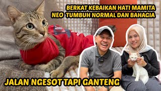 CERITA NEO! KUCING LUMPUH JADI GANTENG DIRAWAT MAMITA by Kucing Om Wepe 58,310 views 1 year ago 32 minutes