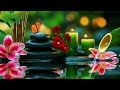 Relaxing Music for Sleep, Focus and Healing 🌿 Calming Nature Sounds for Work, Meditation and Peace