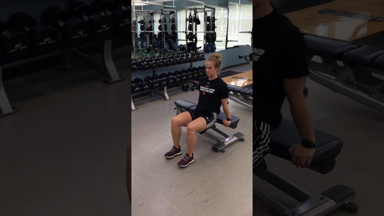 Dips - Bench camera iphone 8 plus apk