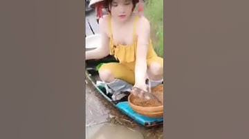 Cắm câu cá lóc mùa nước nổi tập 341 #xuhuong #shorts #cắmcâucálóc