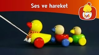 Ses Ve Hareket - Ağaçkakan, Luli Tv