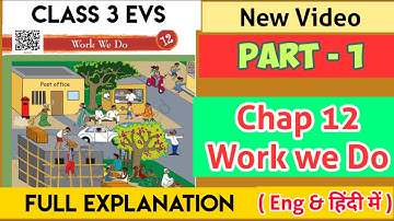 class 3 EVS chap 12 part 1 work we do full explanation,in hindi work we do,class 3 evs @ssstudy