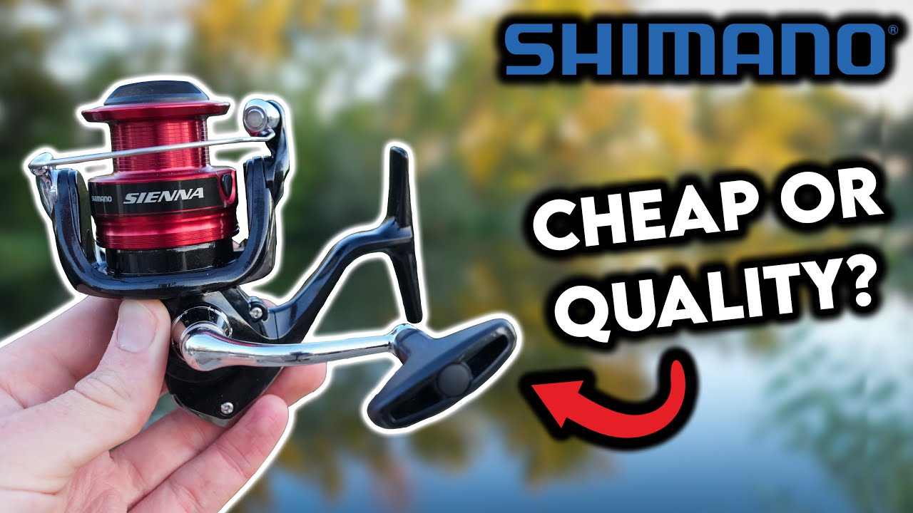Shimano Sienna Full Review: Is This Reel Worth The Price? - YouTube