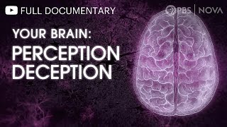 Your Brain: Perception Deception | Full Documentary | NOVA | PBS by NOVA PBS Official 1,215,654 views 11 months ago 53 minutes