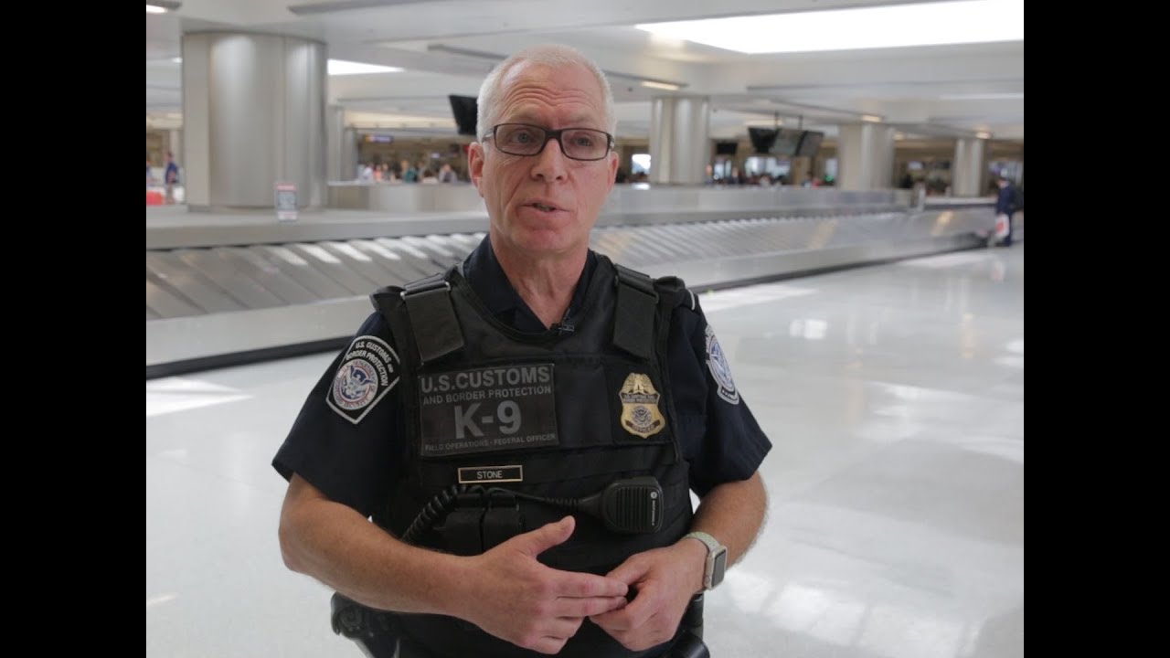 CBP Canine Enforcement Officer Bob Stone and Ferro - YouTube