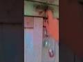 Smart Farmer Farming Vegetable With This Technique #satisfying #shortDragon fruit farming techniquid
