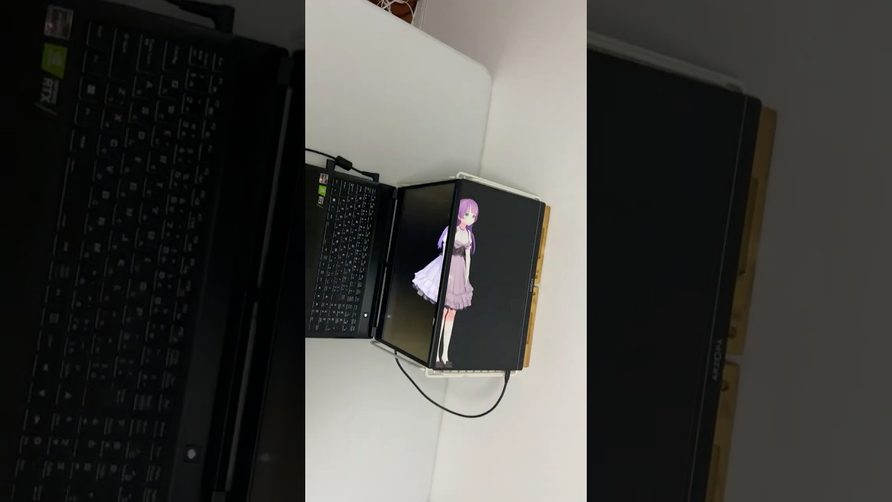 パソコンの中でウォーミングアップするもちひよこさん