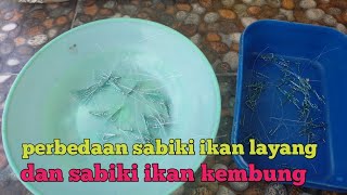 ini perbedaan sabiki ikan kembung dan sabiki ikan layang