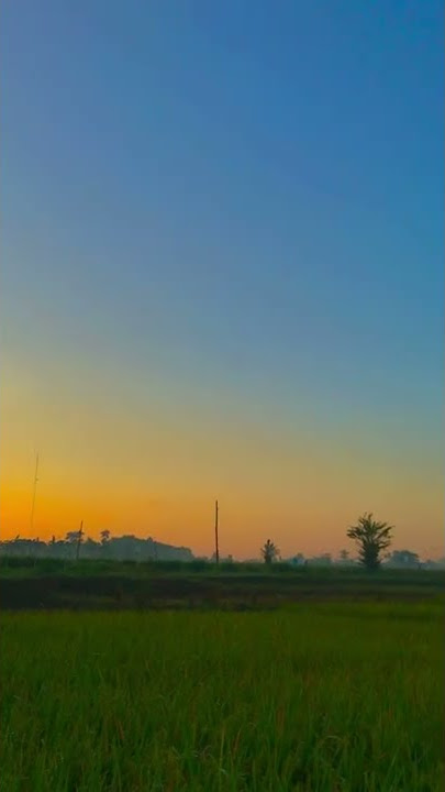 Background video senja Aesthetic #Shorts