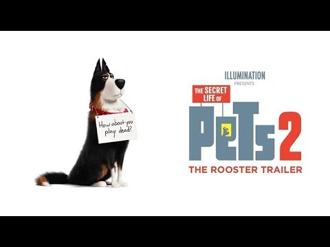 The Secret Life Of Pets On Set With Lake Bell Chloe Interview Youtube