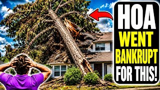 HOA Cut Down My 300 Year Old Tree! i Charge them for a $415,000 Lawsuit!