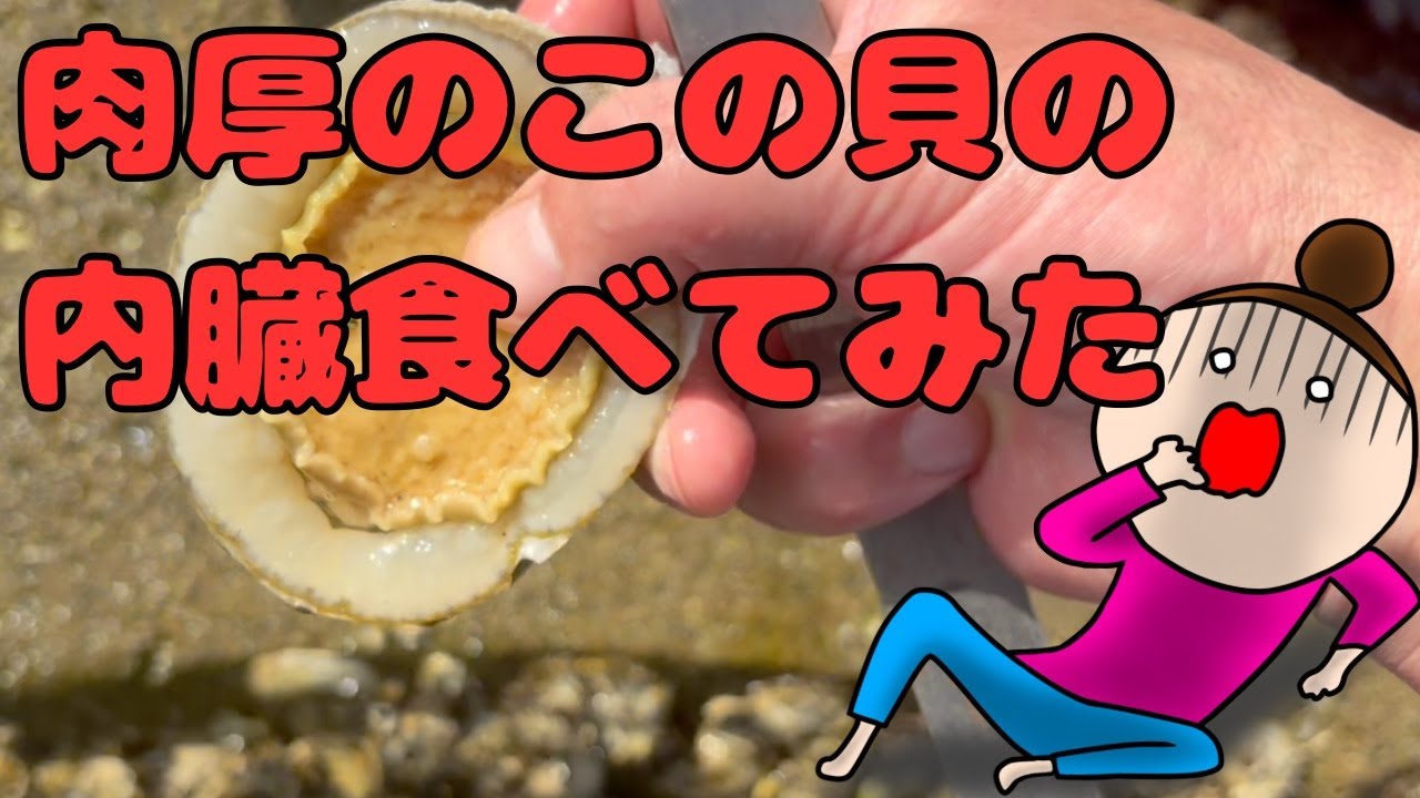 I caught a limpet about the size of an abalone and tried eating