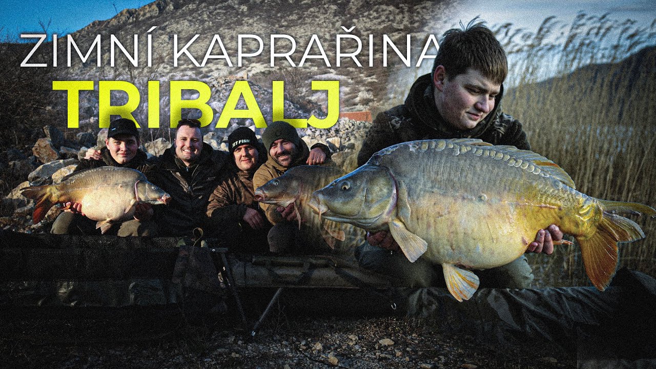 Zimní kaprařina na Tribalj | Winter Carp Fishing
