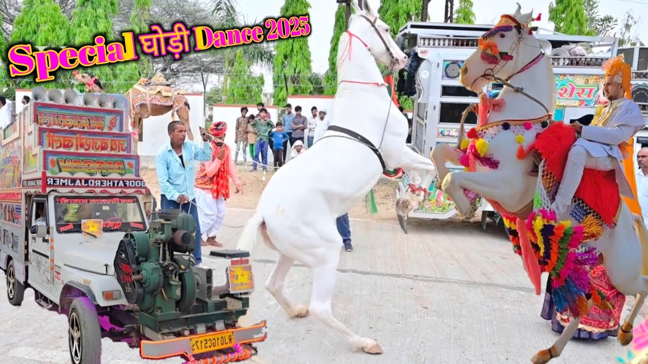 स्पेशल घोड़ी डांस 2025 | Special Ghodi Dance 2025 | DJ SONG Bajrang Dal | Ghodi Dance 2025 #ghodi#dj