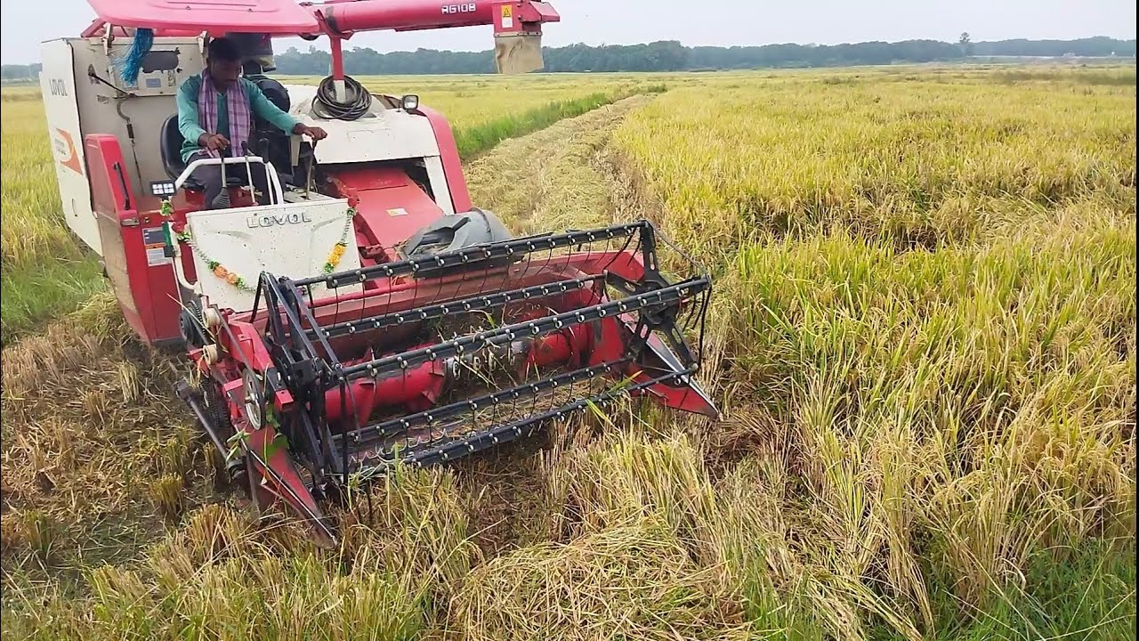 COMBINED HARVESTER FOR CROP CUTTING - YouTube