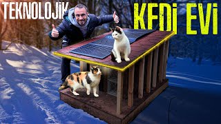 I Built a Solar-Powered House for Cats!