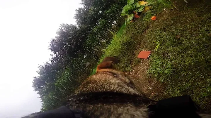 Messing around with gopro for the first time!!