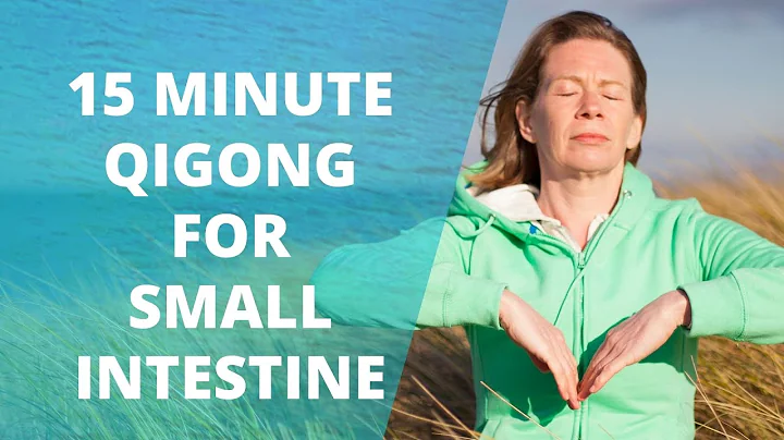 15 Minute Qigong For Small Intestine | Qigong For ...