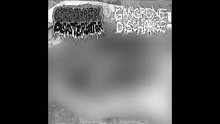 Catastrophic Disasterbator / Gangrene Discharge - Split [Full CDr 2017]
