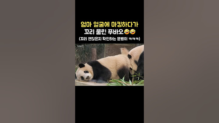 엄마 얼굴에 마킹하다가 꼬리 물린 푸바오🤣 꼬리 잘~있나 확인까지?!👀 #fubao #푸바오 #panda