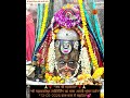jai shree mahakal samb sadashiv #mahakal #mahakaldarbar #shyam #radheradhe #youtubeshorts #live