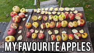 Keepers Nursery, my favourite apples, a comparison of the best apple varieties available to buy