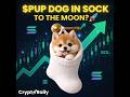 Dog in Sock $PUP - Something Big is Coming Soon!