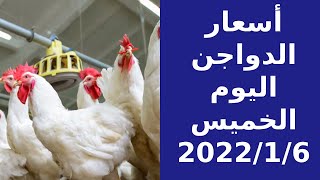 أسعار الدواجن اليوم 6-1-2022 فى مصر/أسعار الفراخ اليوم فى مصر/ أسعار السوق/سعر كرتونة البيض