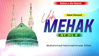 : Unki Mehek Ne Dil Ke Gunche Khila Diye Hain - New Naat - Hammad Attari