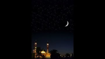 ما تيسر من سورة البقرة القارئ عبد الحسيب ربيع (  صلاة التراويح رمضان 2023 )
