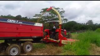 Tractor Mf4275 Y New Pecus