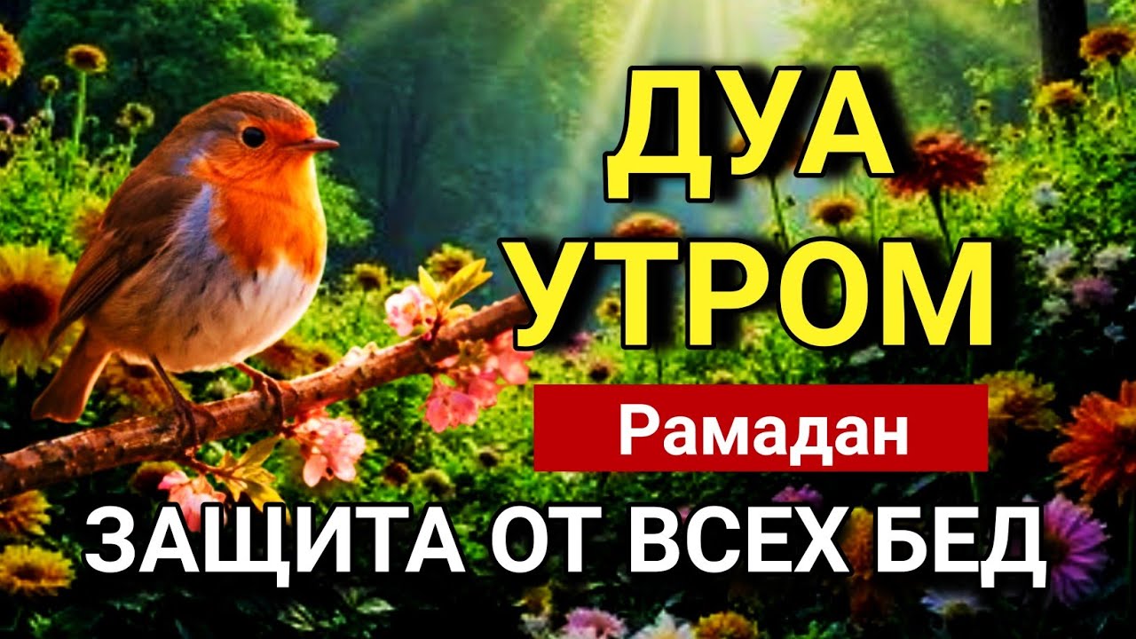 🌅🔑 СИЛЬНЕЙШЕЕ  Рамадан ДУА УТРОМ ОТ ВСЕХ БЕД  🤲✨💯