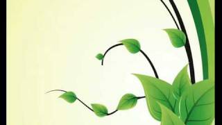 Plant animation 2.flv