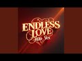 ENDLESS LOVE mp3