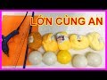 Học tiếng Anh cùng VOA - YouTube