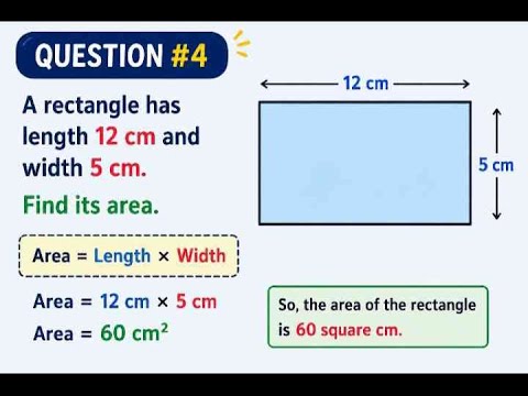 Rectangle Area Math Question #4 | Easy Geometry Problem - YouTube