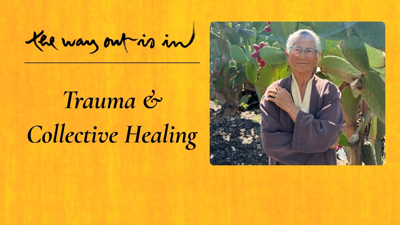 Trauma and Collective Healing | TWOII podcast | Episode 92