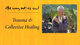 Download lagu Trauma and Collective Healing | TWOII podcast | Episode 92