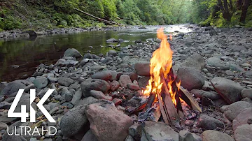 8 HOURS Crackling Campfire with Relaxing River Sounds and Wonderful Bird Singing