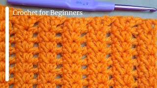 Easy Crochet Pattern for Beginners Amazing Crochet Stitch for Baby Blankets #crochetbabyblanket