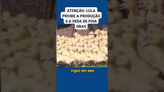bomba: lula13 proíbe. veja a reportagem #noticias #noticia #jornalismoverdadr bomba: lula13 proíbe. veja a reportagem #noticias #noticia #jornalismoverdadr