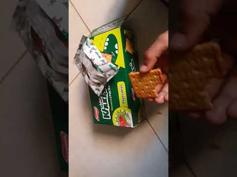 تجربت بسكوت الخضار