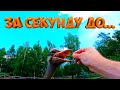 ХОТЕЛ ОТНЯТЬ КАМЕРУ ! ПОДАРОК ОТПРАВИЛ ! ЕЩЕ СЕМЕНА ЛОТОСА ! [Жизнь в деревне]