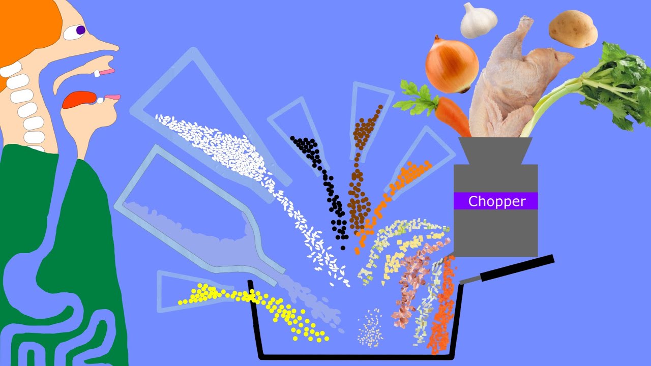 【Algodoo】Toilet while eating curry.　カレーを食べながらトイレをする人