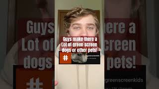 Make This Vid Have Lots Of Green Screen Pets pets greenscreen