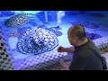 Exclusive facility tour of the worlds highest quality stingrays